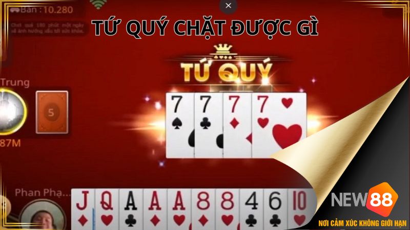 Tứ Quý Chặt Được Gì